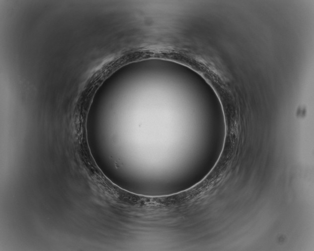 X0000101661398200807101244