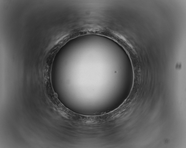 X0000101661399200807101244