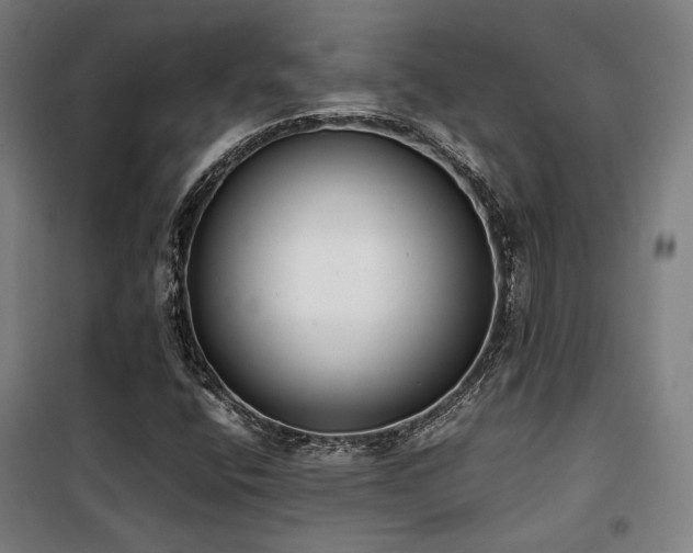 X0000101661400200807101244