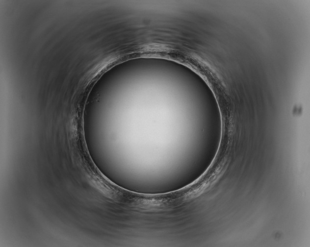 X0000101661401200807101244