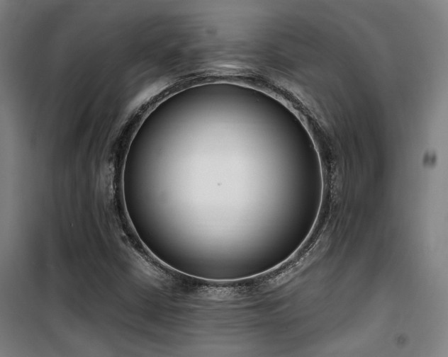 X0000101661402200807101244