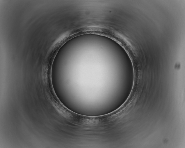 X0000101661403200807101244