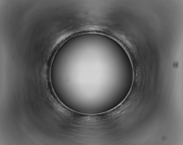 X0000101661404200807101244
