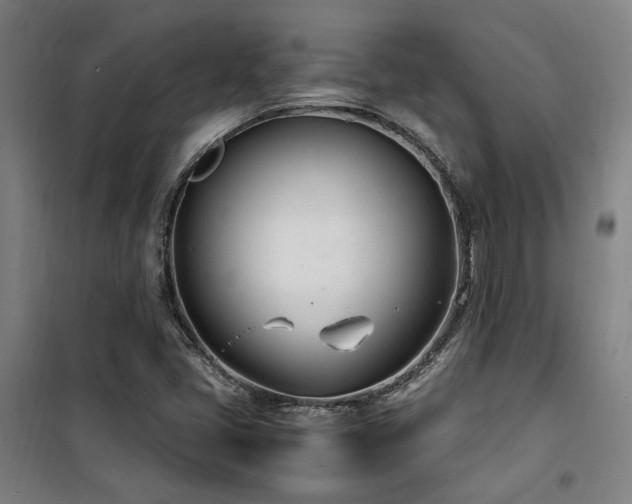 X0000101661405200807101244
