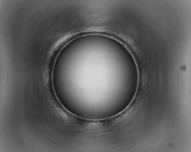 X0000101661406200807101244