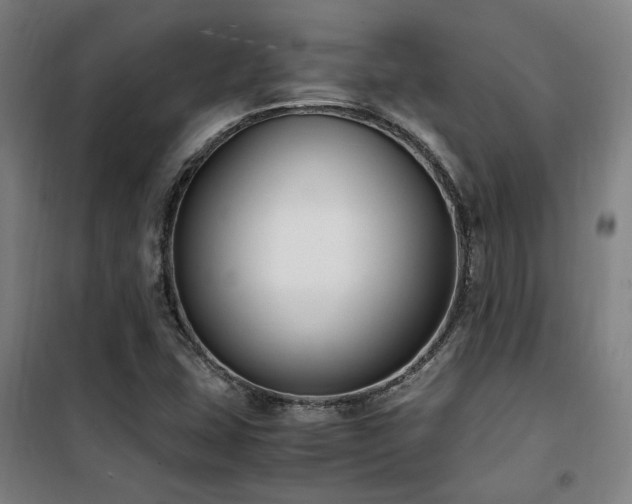 X0000101661407200807101244