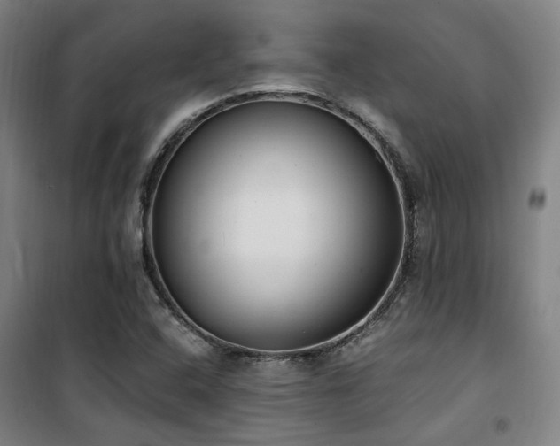 X0000101661408200807101244