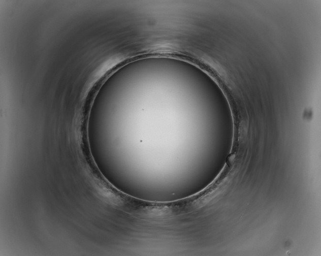 X0000101661410200807101244