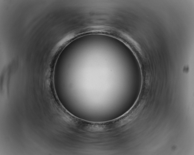X0000101661411200807101244