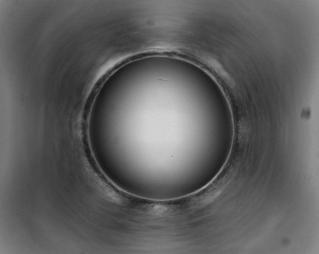 X0000101661412200807101244