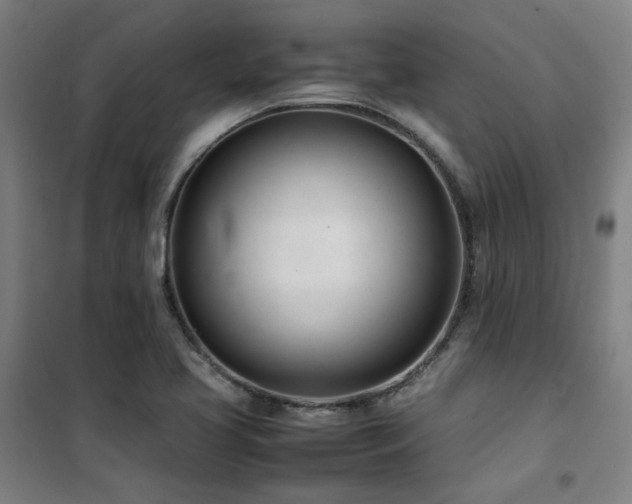 X0000101661413200807101244