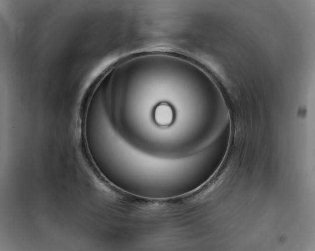 X0000101661414200807101244