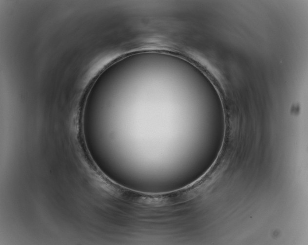 X0000101661415200807101244