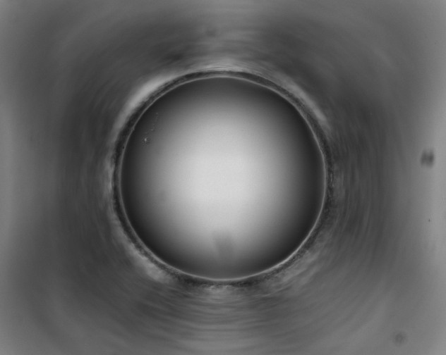 X0000101661416200807101244