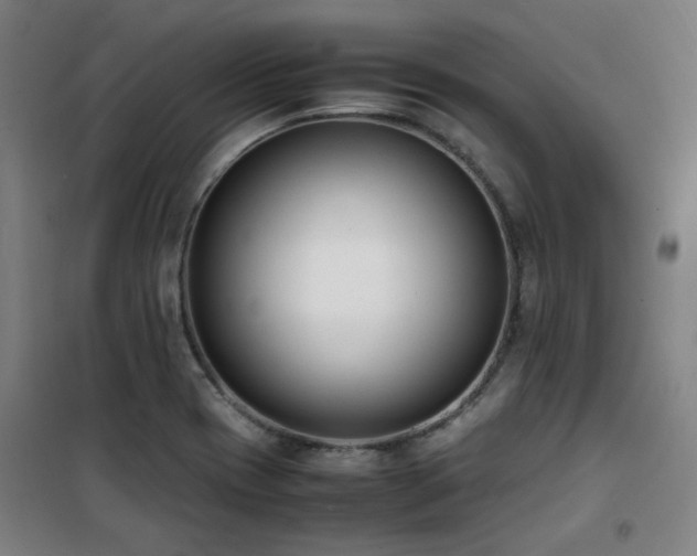 X0000101661417200807101244