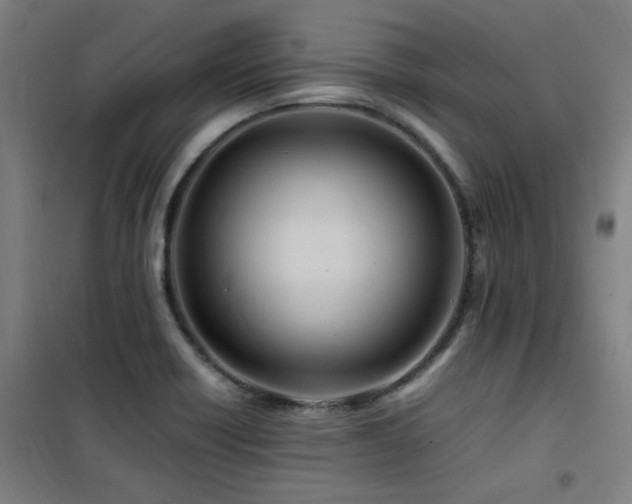 X0000101661418200807101244