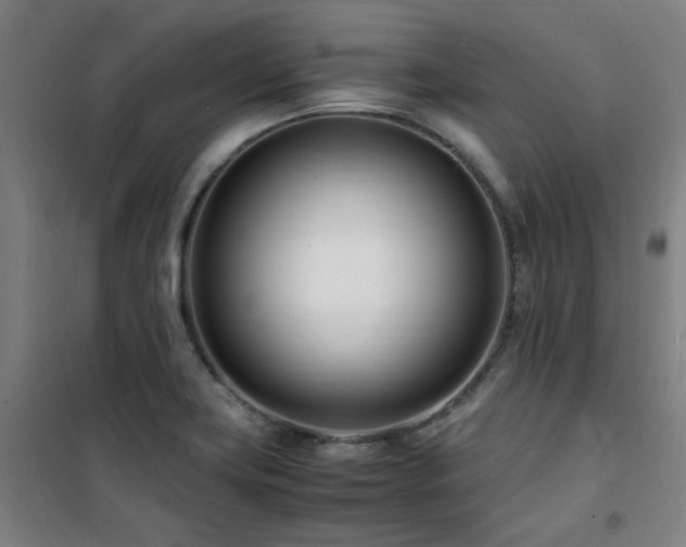 X0000101661419200807101244