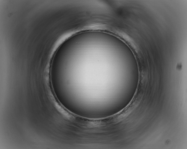 X0000101661421200807101244