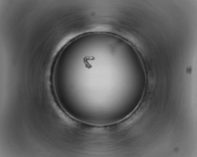 X0000101661422200807101244