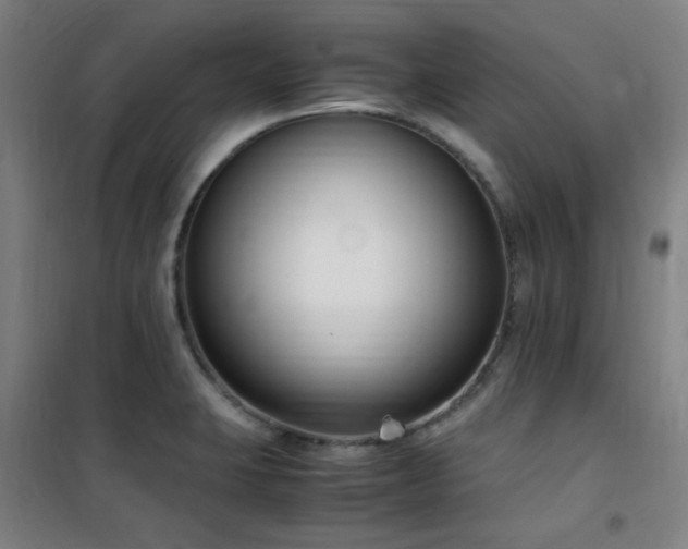X0000101661423200807101244