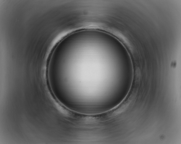 X0000101661424200807101244