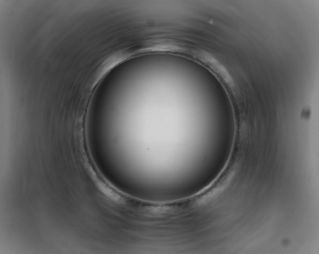 X0000101661425200807101244