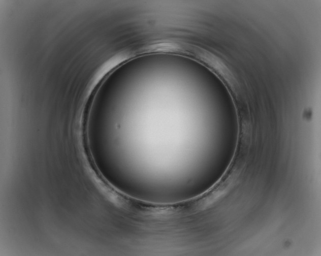 X0000101661426200807101244