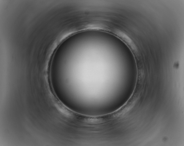 X0000101661427200807101244
