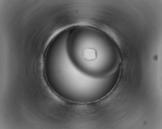 X0000101661428200807101244