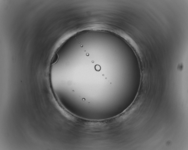 X0000101661429200807101244