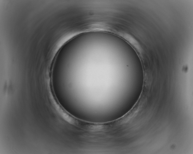 X0000101661431200807101244