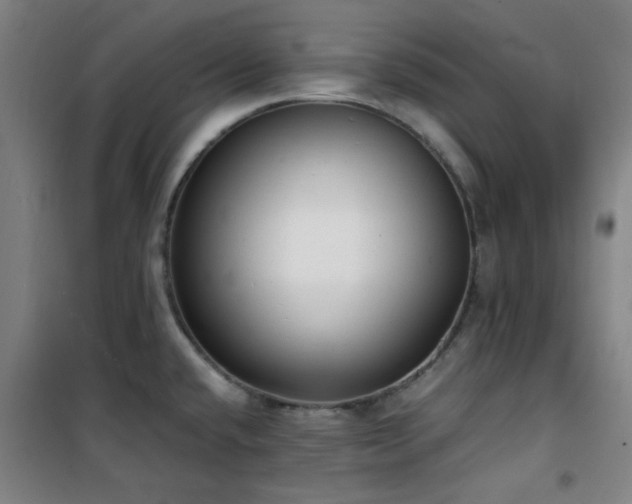 X0000101661432200807101244