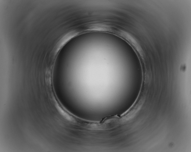 X0000101661433200807101244