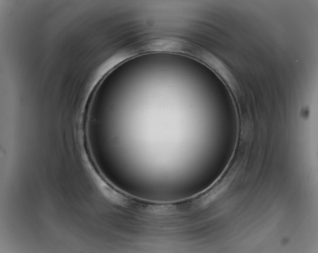 X0000101661434200807101244