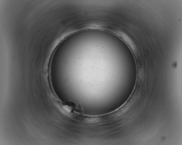 X0000101661435200807101244