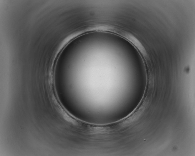 X0000101661436200807101244