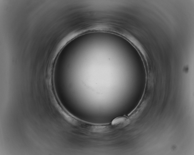 X0000101661437200807101244