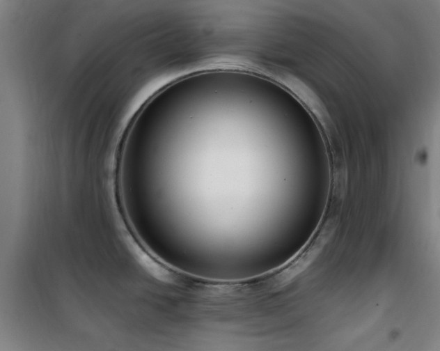 X0000101661438200807101244