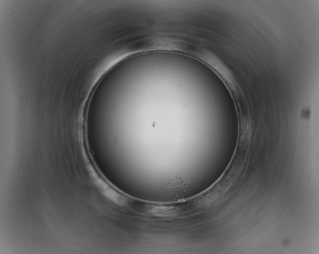X0000101661439200807101244