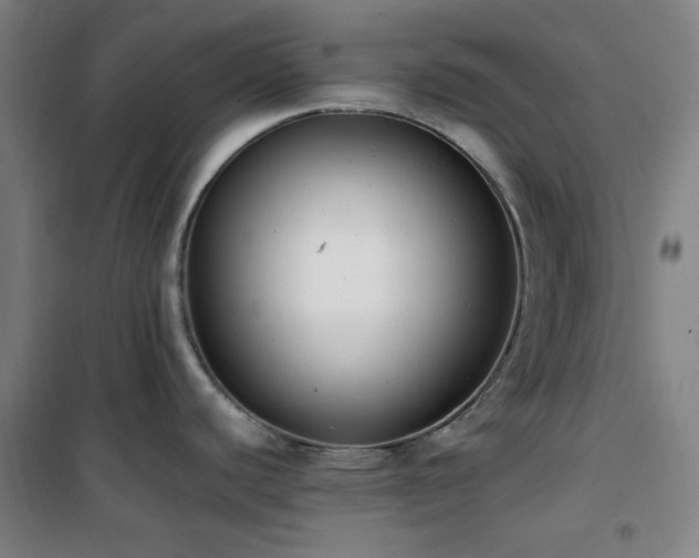 X0000101661440200807101244