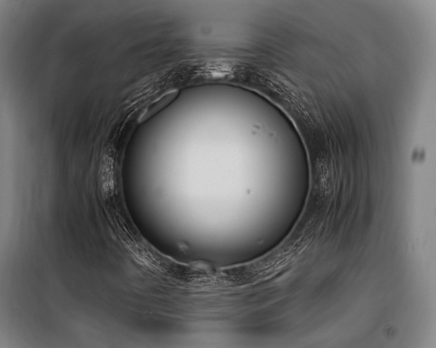 X0000101661442200807101243