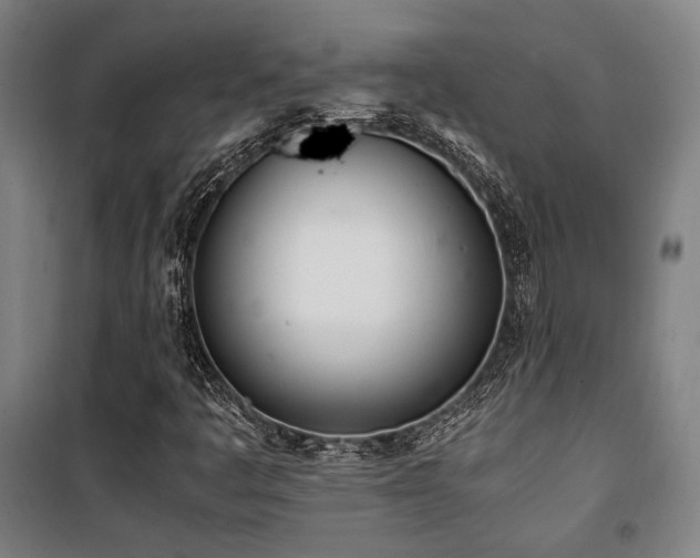 X0000101661445200807101243