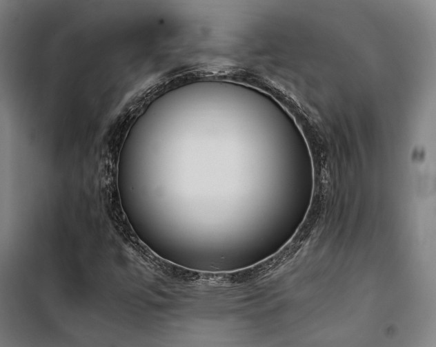 X0000101661447200807101243