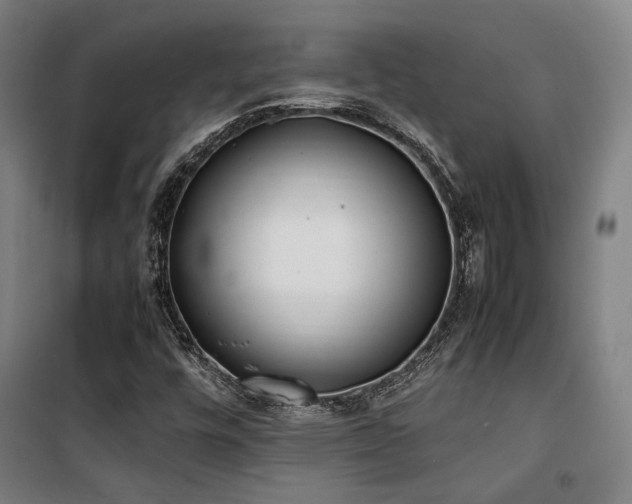 X0000101661448200807101243