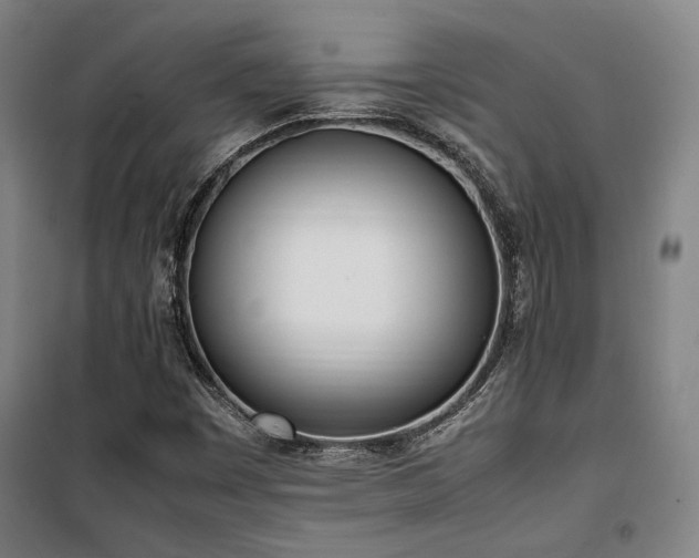 X0000101661449200807101243