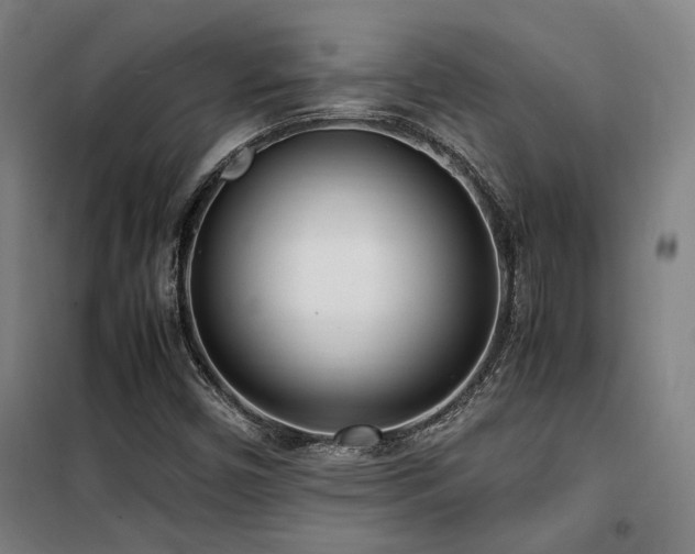 X0000101661450200807101243