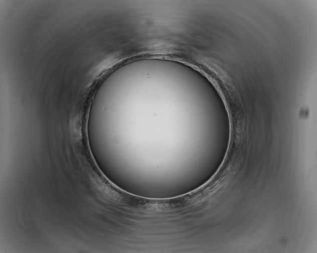 X0000101661451200807101243