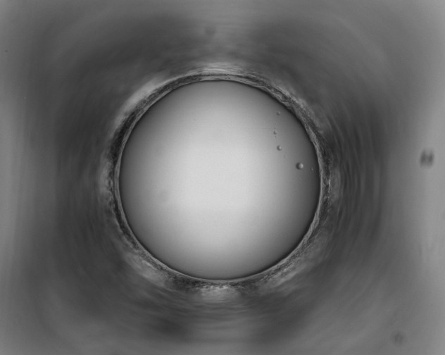 X0000101661454200807101243