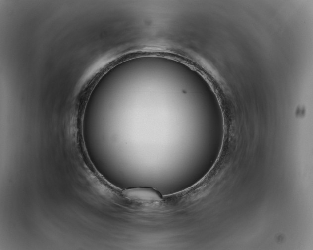 X0000101661456200807101243