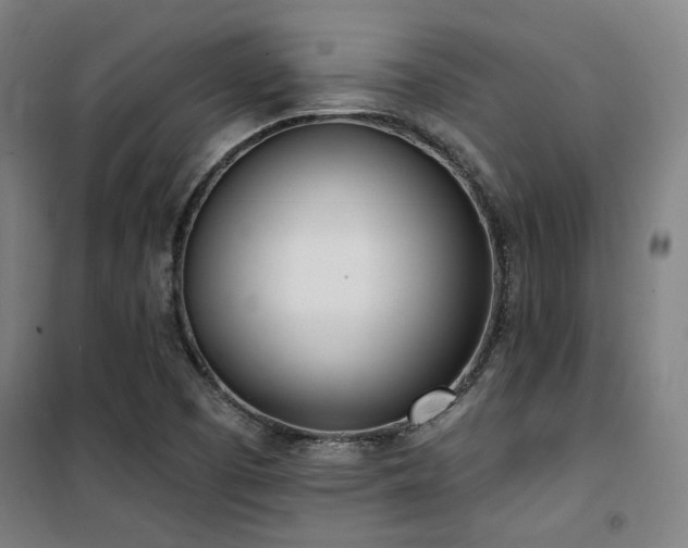 X0000101661457200807101243